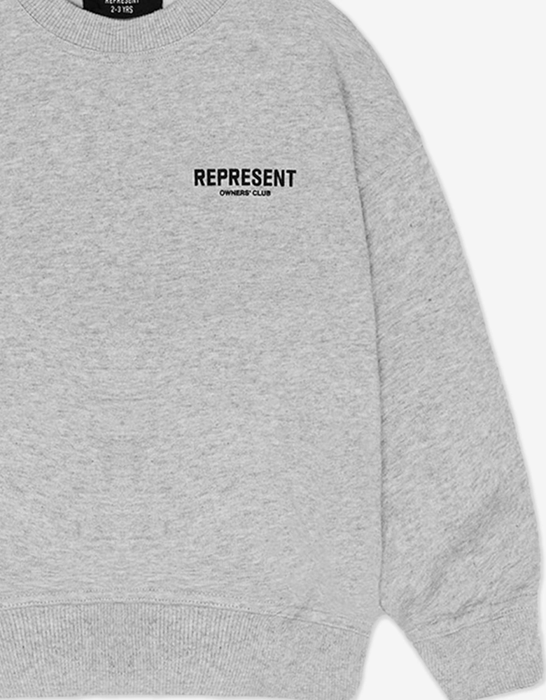 Kids Mini Owners Club Sweatshirt in Grey