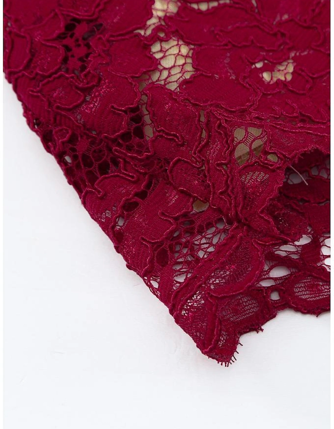 Azura Exchange Wine Red Lace Skater Mini Dress