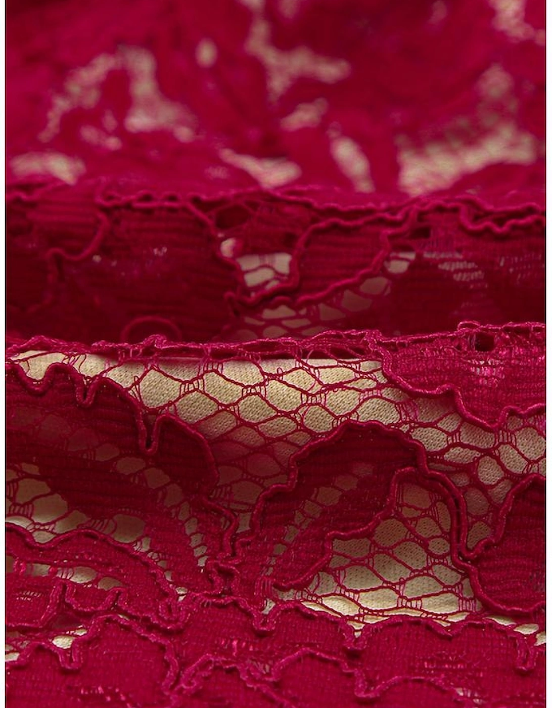 Azura Exchange Wine Red Lace Skater Mini Dress