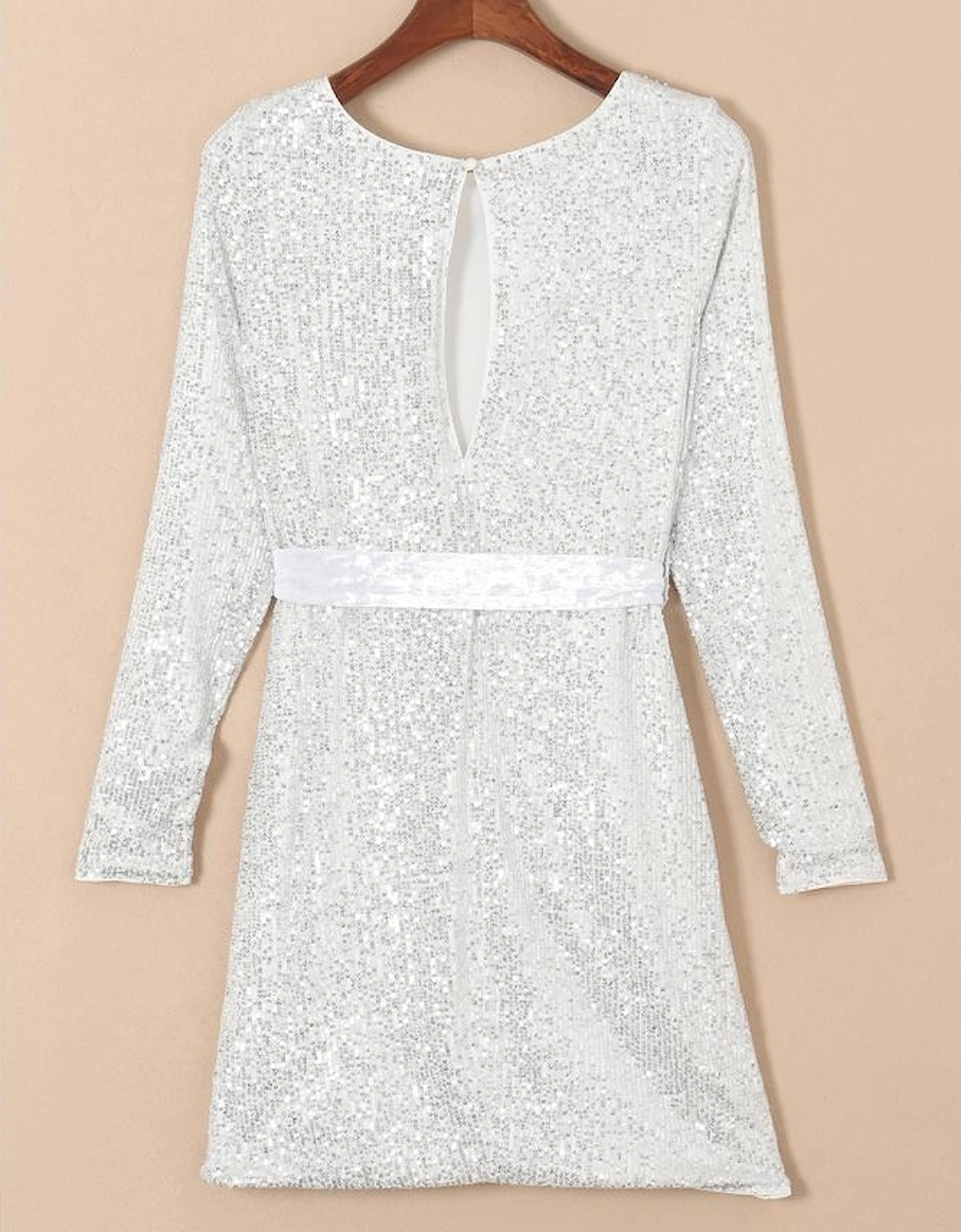Silvery Sequin Long Sleeve Tie Waist Mini Dress