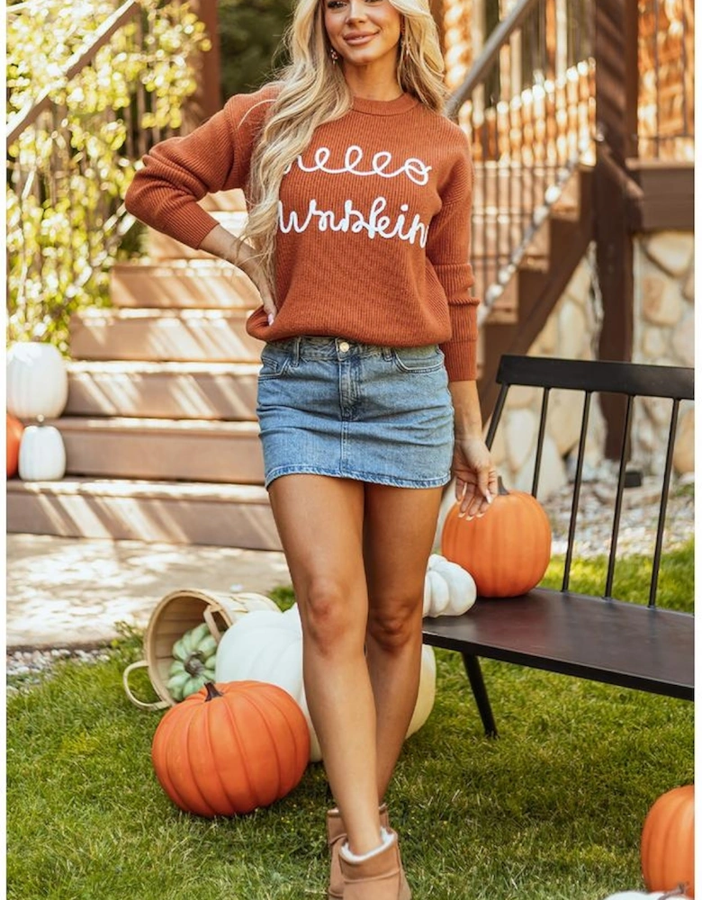 Flamingo Hello Pumpkin Graphic Sweater