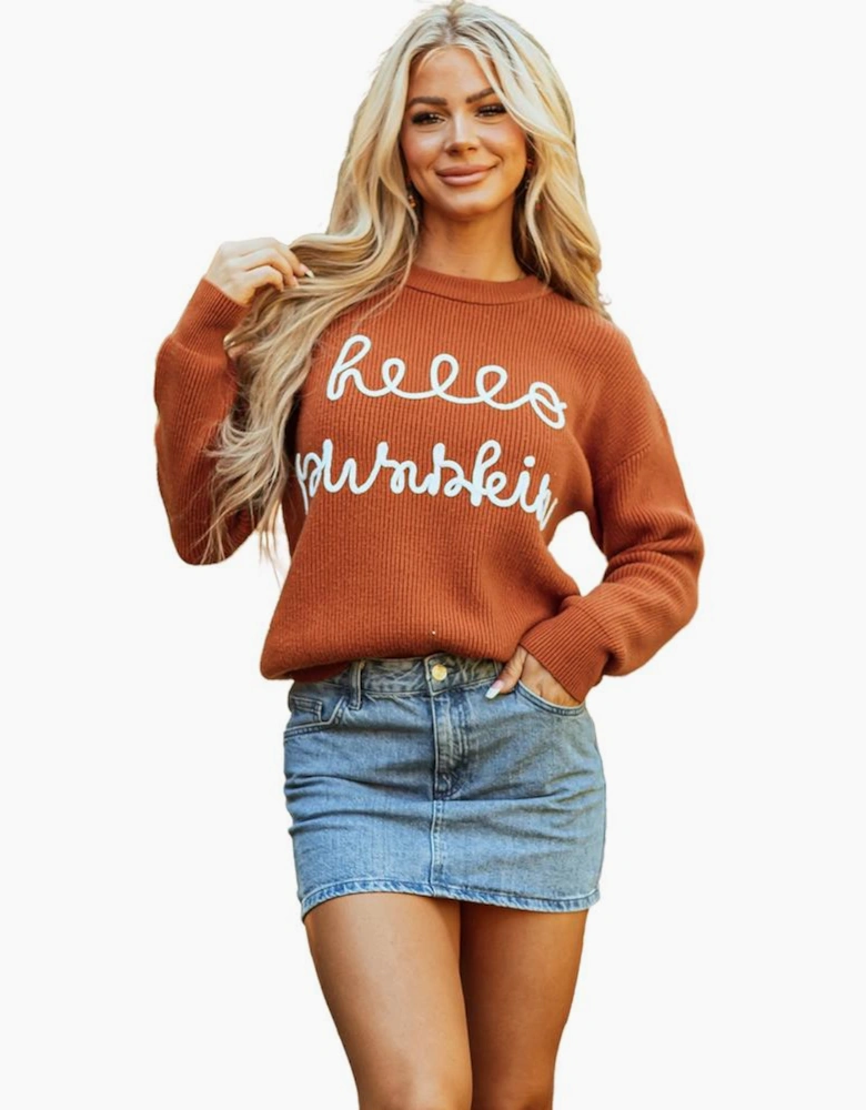 Flamingo Hello Pumpkin Graphic Sweater