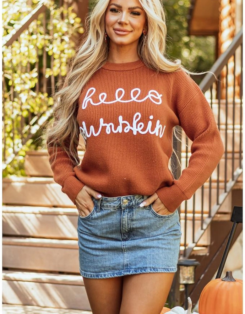 Flamingo Hello Pumpkin Graphic Sweater
