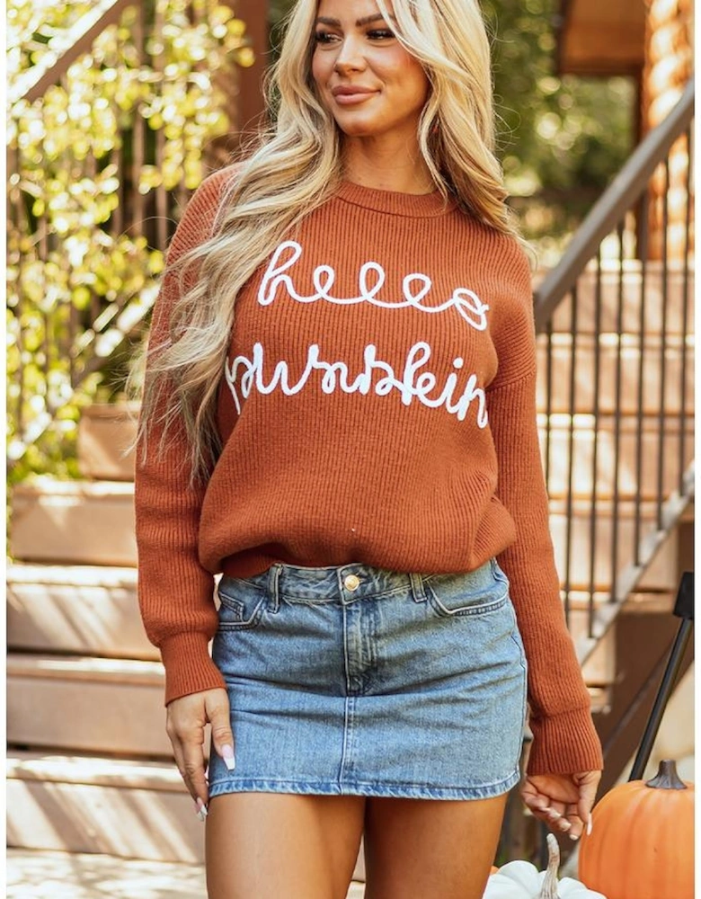 Flamingo Hello Pumpkin Graphic Sweater