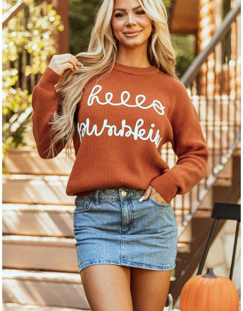 Flamingo Hello Pumpkin Graphic Sweater