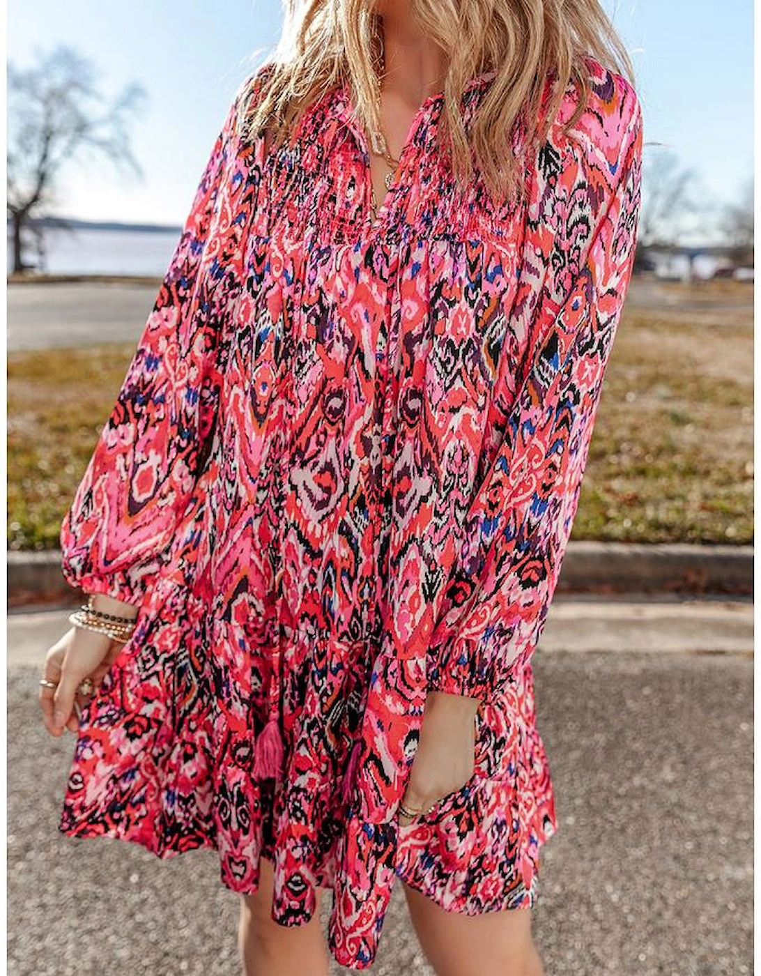 Rose Abstract Printed Tassel Tied Neck Long Sleeve Ruffled Mini Dress