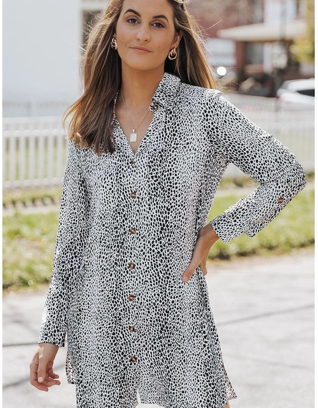 Long Sleeve Leopard Animal Print Shirt Dress