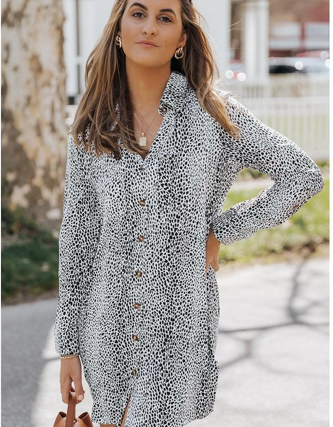 Long Sleeve Leopard Animal Print Shirt Dress