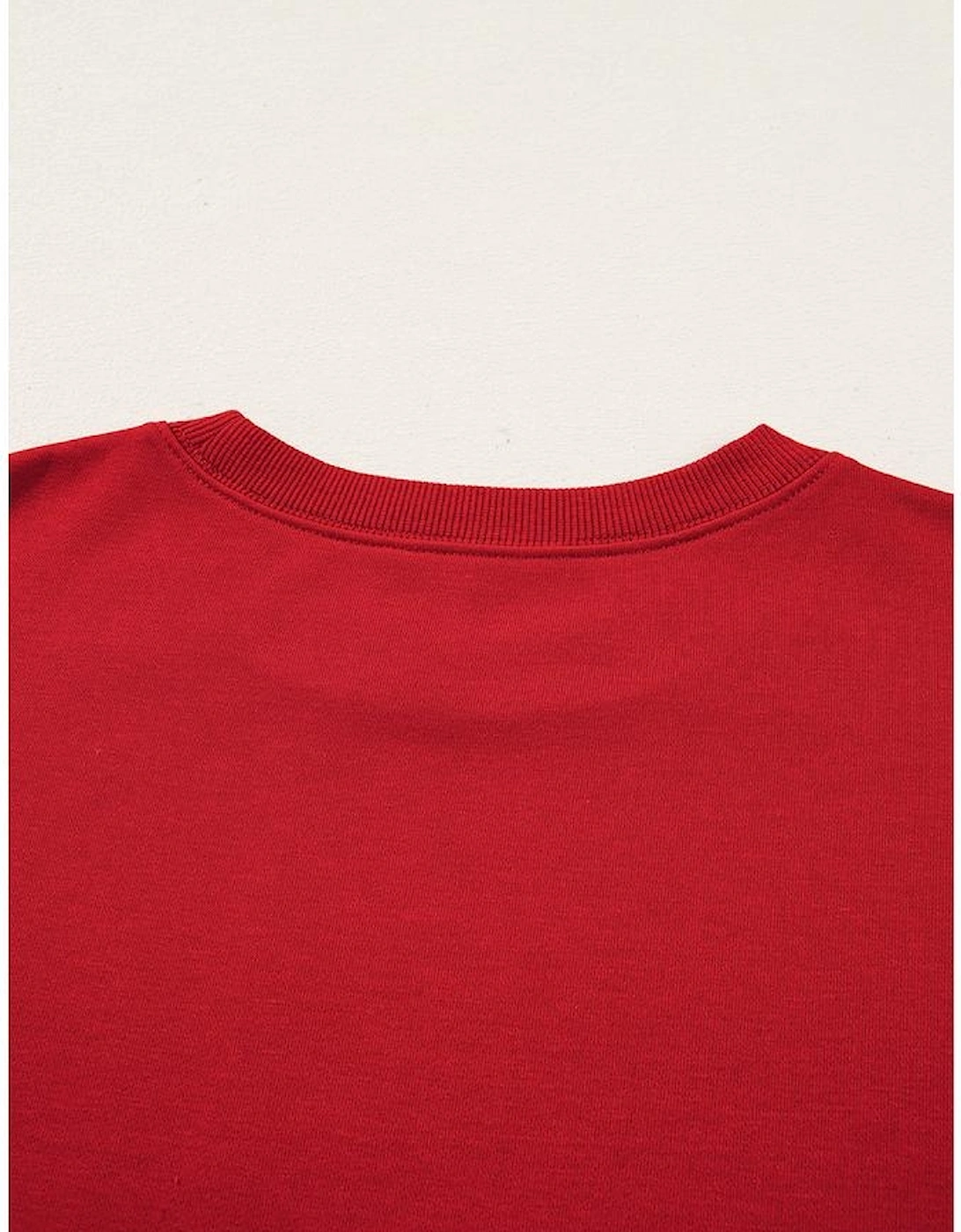 Fiery Red Varsity Striped Detail Crew Neck Plus Sweatshirt