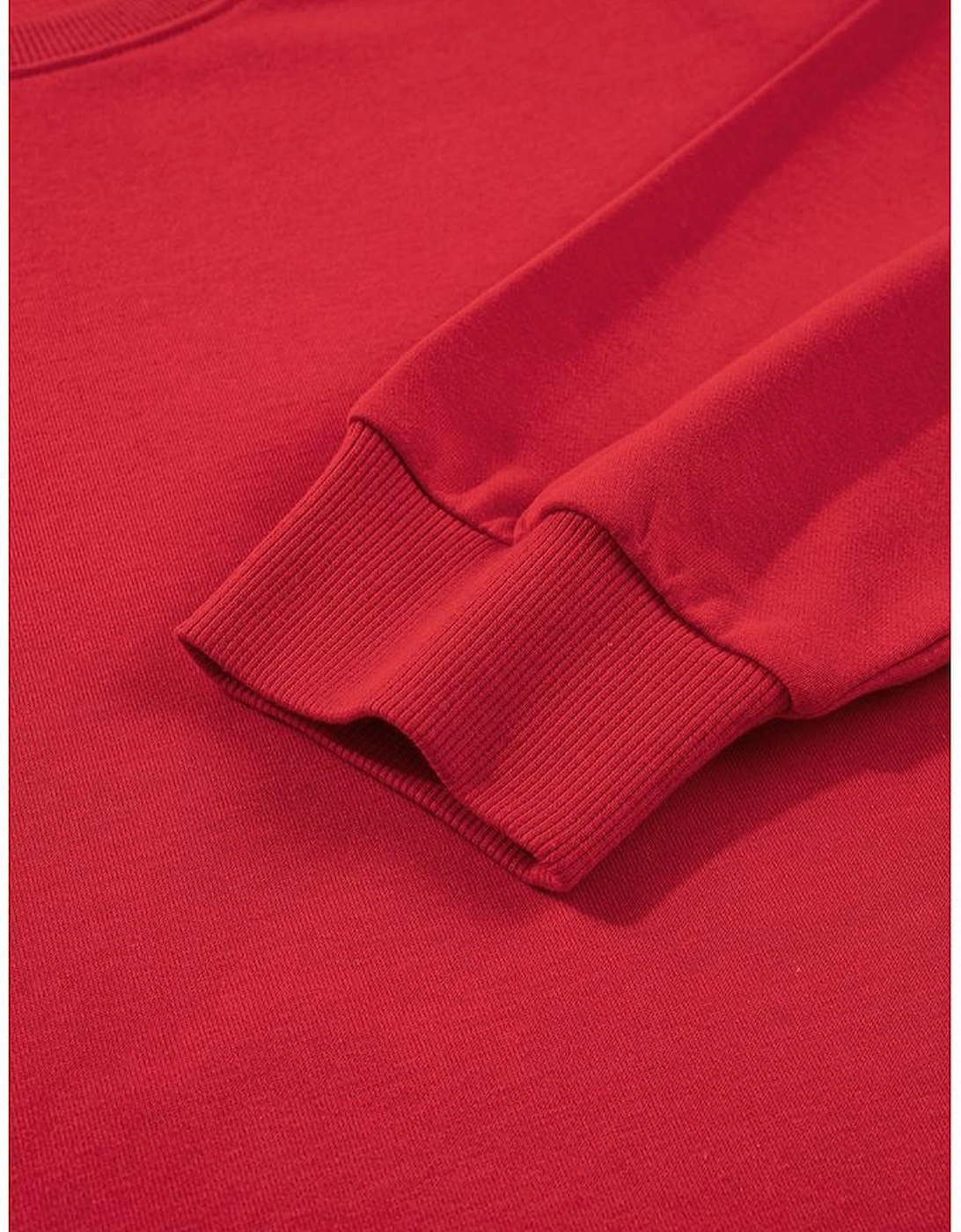 Fiery Red Varsity Striped Detail Crew Neck Plus Sweatshirt