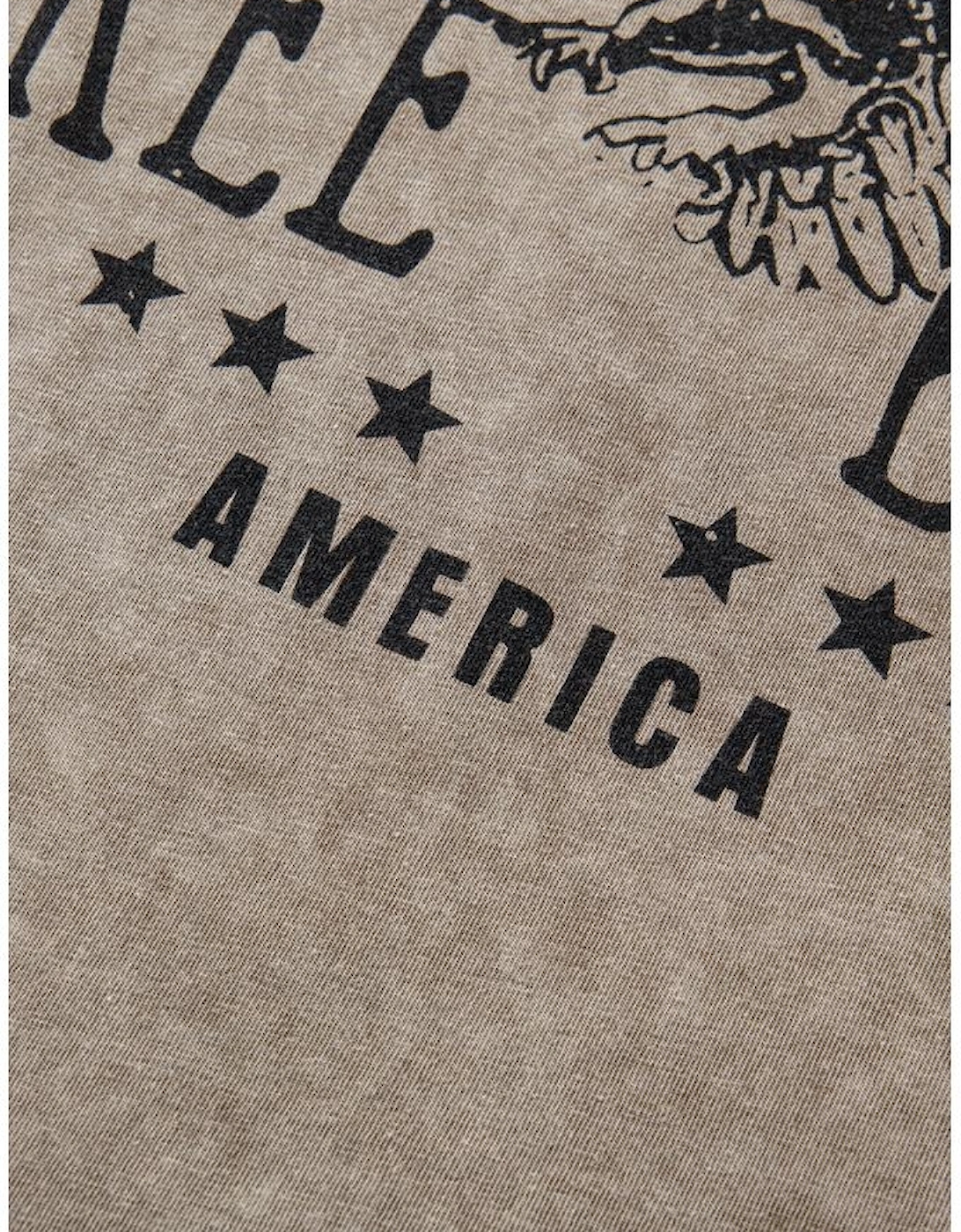 Parchment AMERICA FREE BIRD Vintage Graphic Mineral Washed Tee