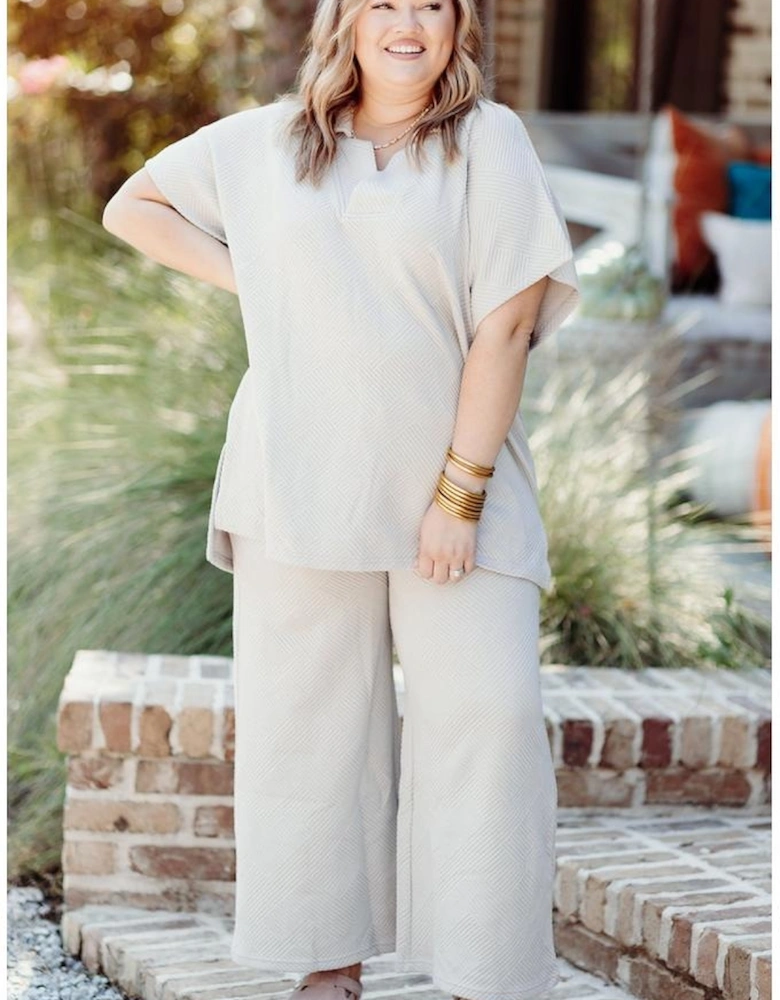 Beige Plus Size Textured Collared Top and Pants Set