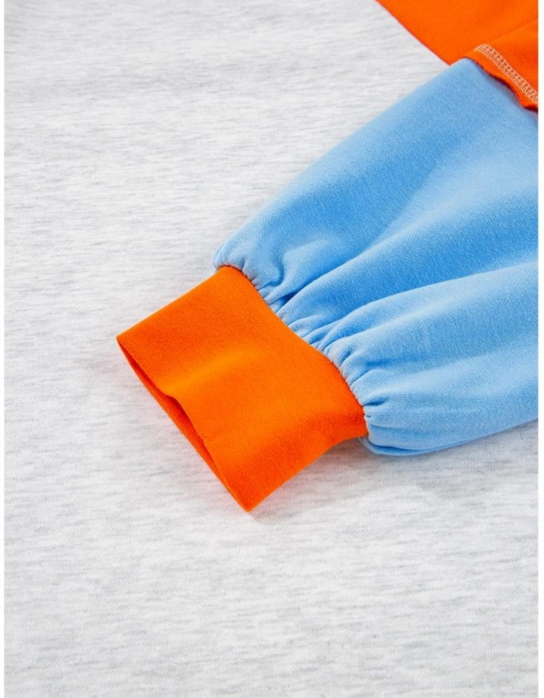 Light Grey Color Block Raglan Sleeve Contrast Stitching Loose Fit Top