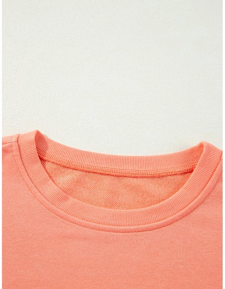 Flamingo Rainbow Striped Sleeve Crew Neck Loose Sweatshirt