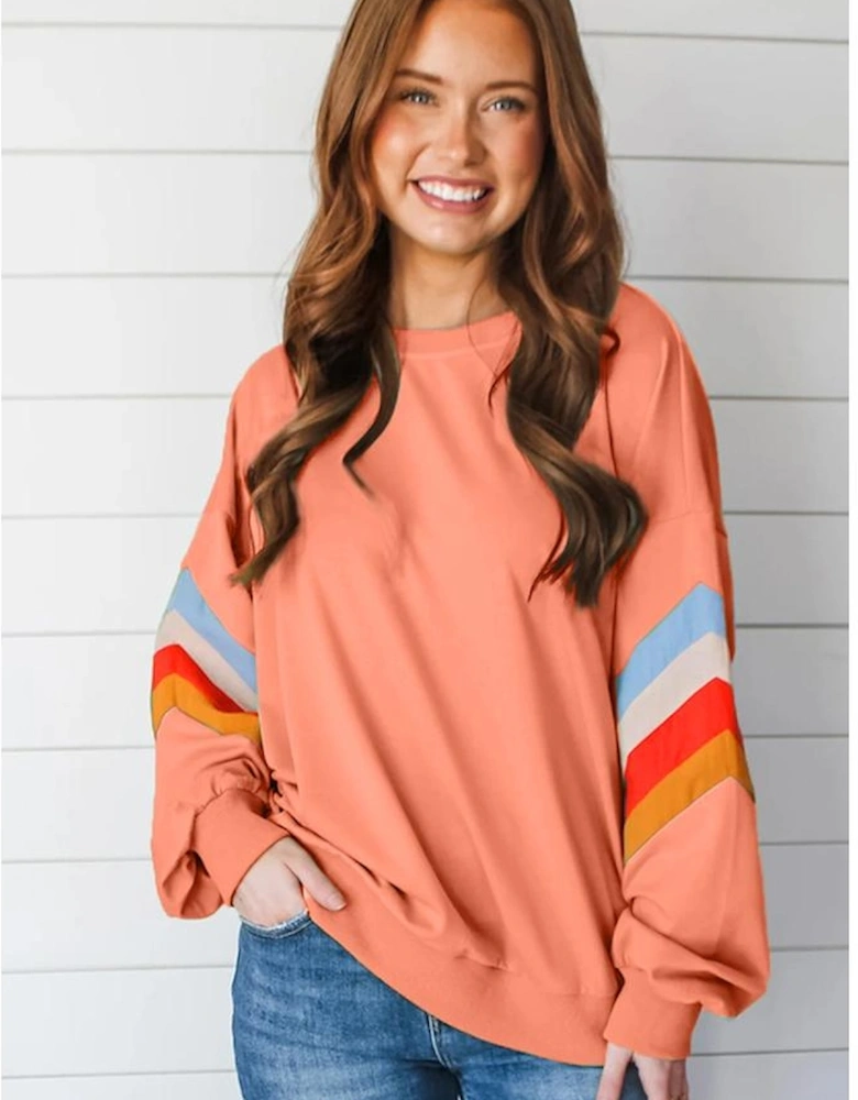 Flamingo Rainbow Striped Sleeve Crew Neck Loose Sweatshirt