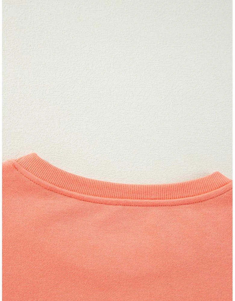 Flamingo Rainbow Striped Sleeve Crew Neck Loose Sweatshirt