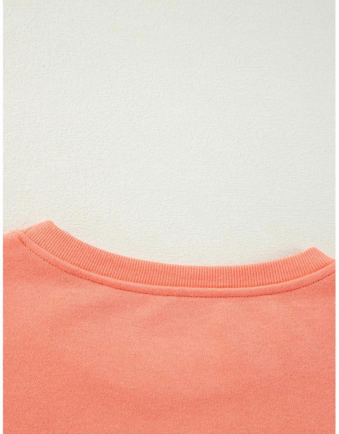 Flamingo Rainbow Striped Sleeve Crew Neck Loose Sweatshirt