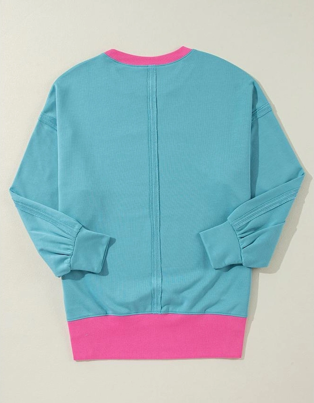 Light Blue Colorblock Patchwork Crew Neck Loose Sweatshirt
