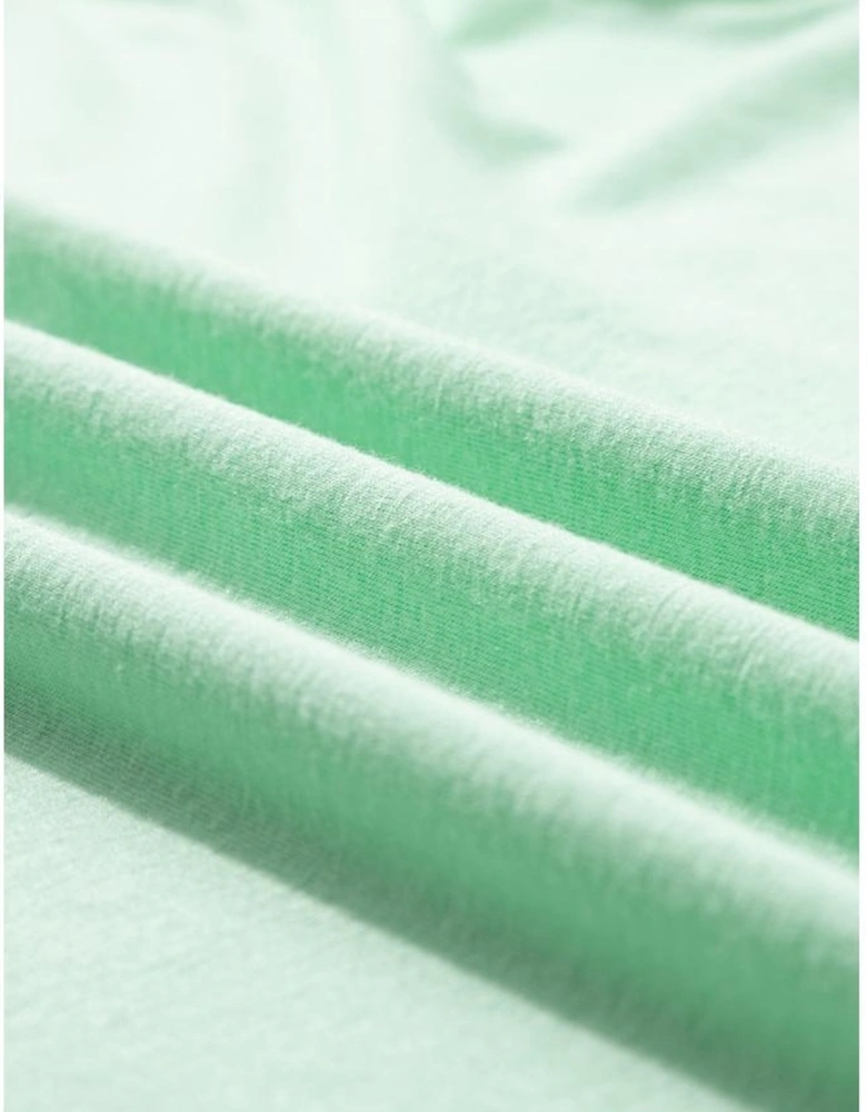 Iceland Blue Round Neck Rolled Sleeve Plus Size T-shirt