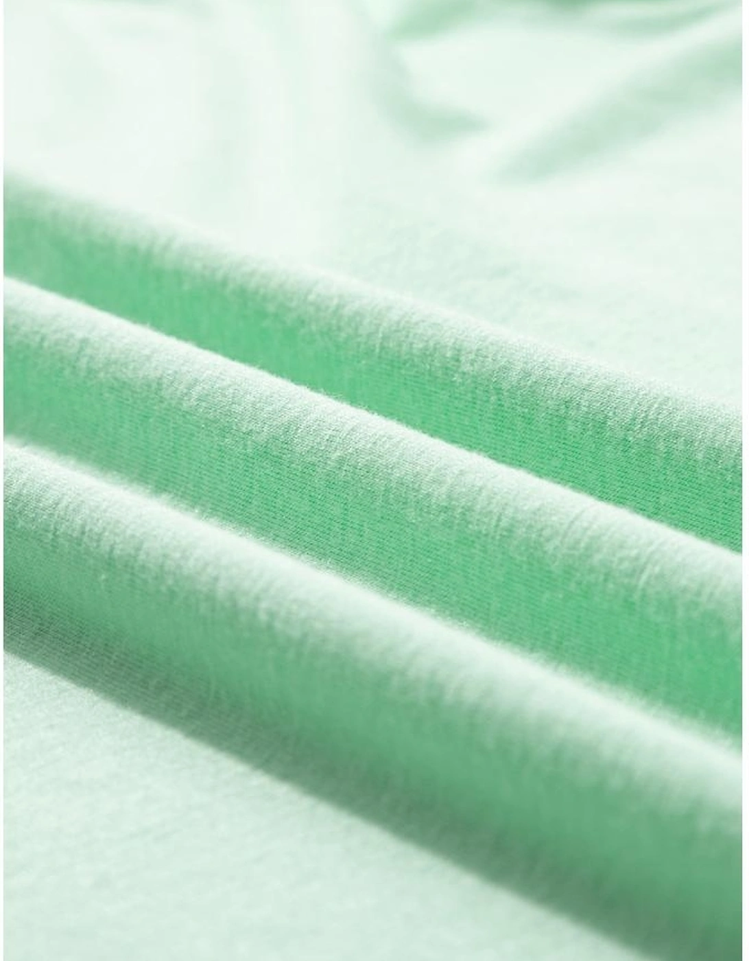 Iceland Blue Round Neck Rolled Sleeve Plus Size T-shirt