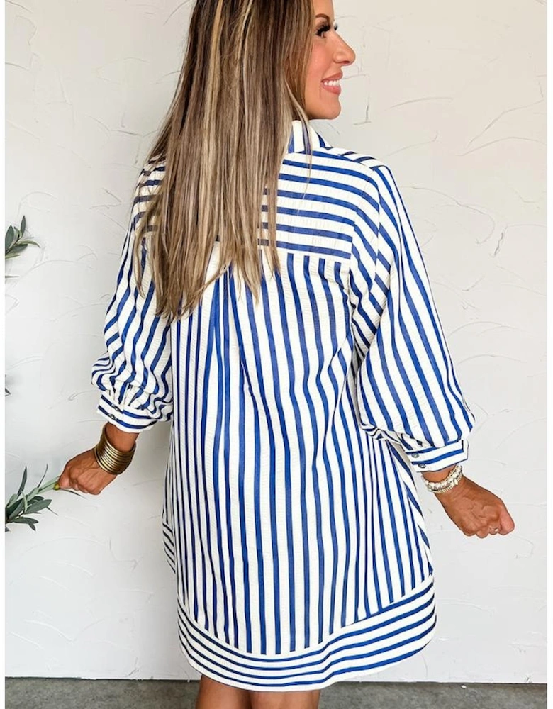 Blue Stripe Collared Half Button Side Pockets Loose Fit Mini Dress