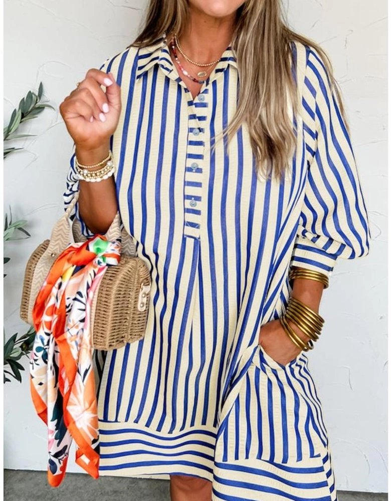 Blue Stripe Collared Half Button Side Pockets Loose Fit Mini Dress