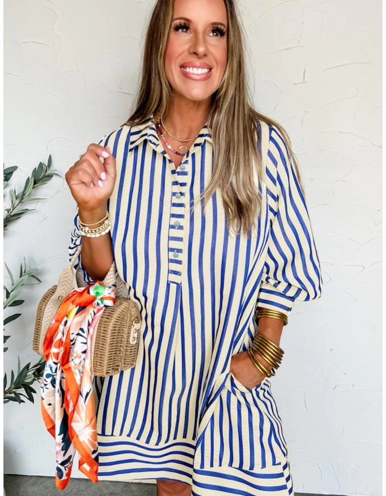 Blue Stripe Collared Half Button Side Pockets Loose Fit Mini Dress