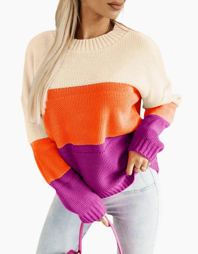 Multicolor Color Block Drop Shoulder Round Neck Knit Sweater