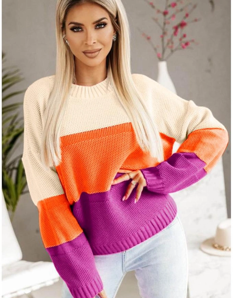 Multicolor Color Block Drop Shoulder Round Neck Knit Sweater