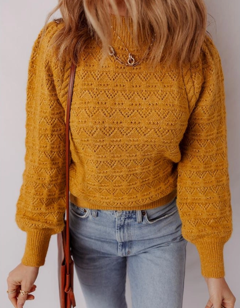 Jurassic Gold Hollow Out Crochet Ribbed Edge Balloon Sleeve Sweater