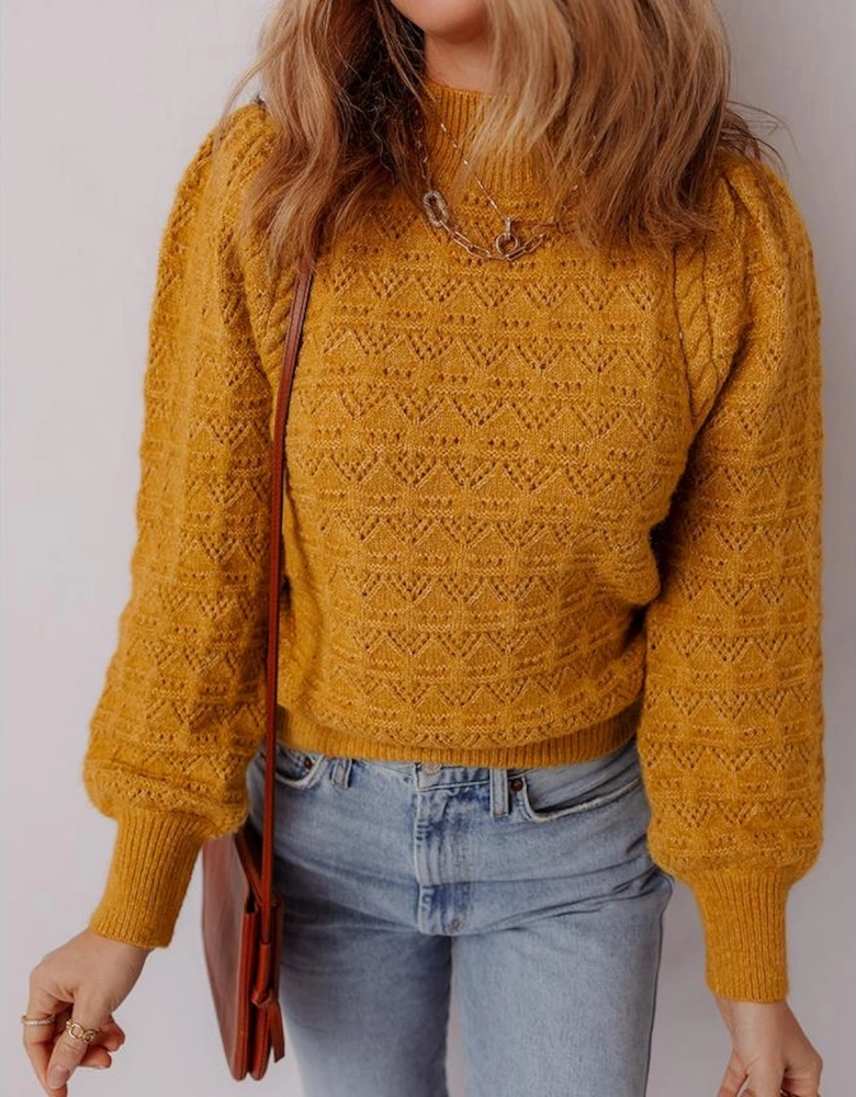 Jurassic Gold Hollow Out Crochet Ribbed Edge Balloon Sleeve Sweater
