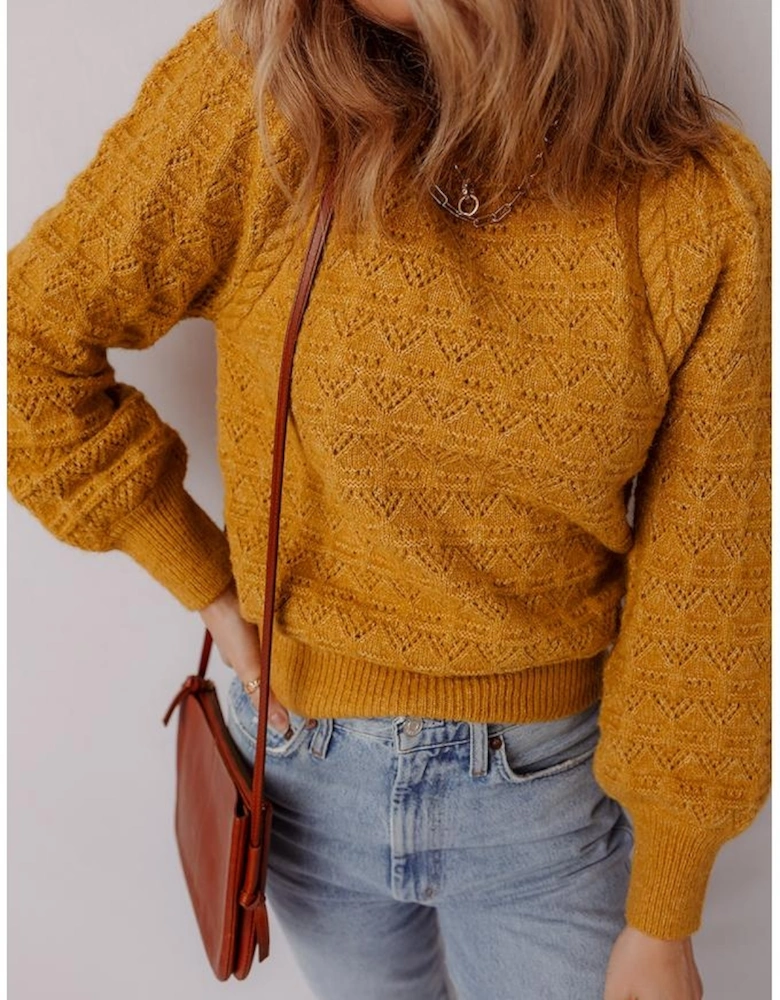 Jurassic Gold Hollow Out Crochet Ribbed Edge Balloon Sleeve Sweater