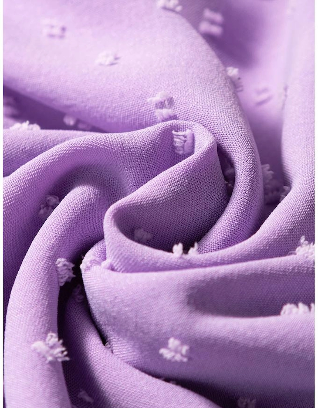 Wisteria Swiss Dot Smocked Frilled Neckline Short Sleeve Plus Size Dress