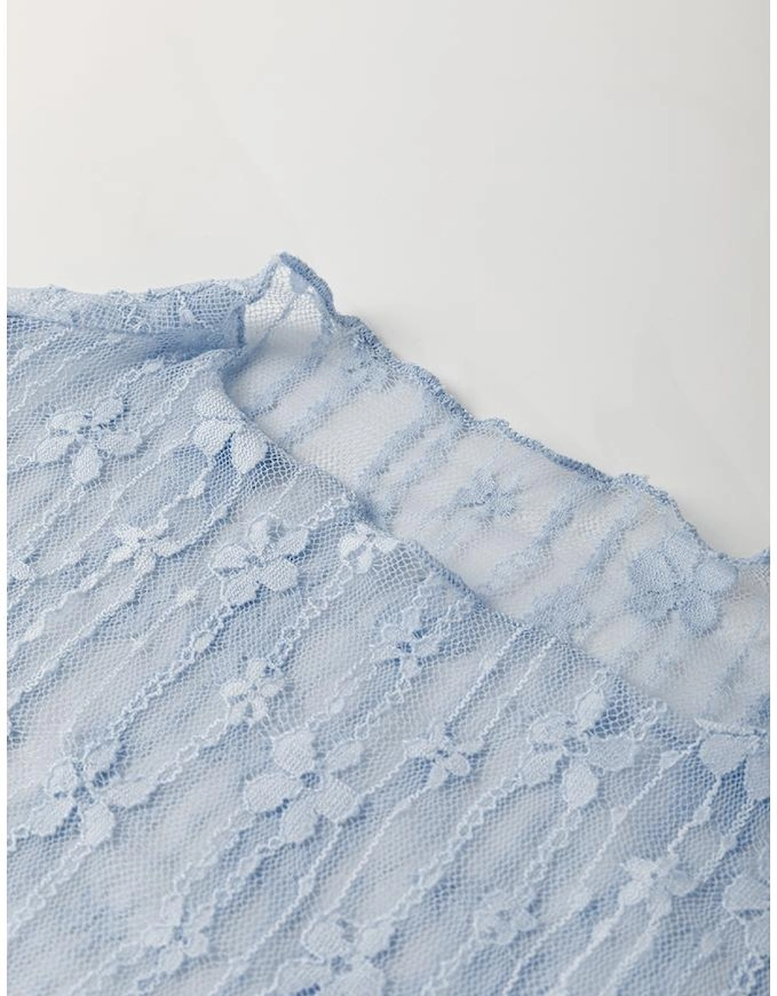 Ashleigh Blue Sheer Floral Lace Long Sleeve Slim Fit Top