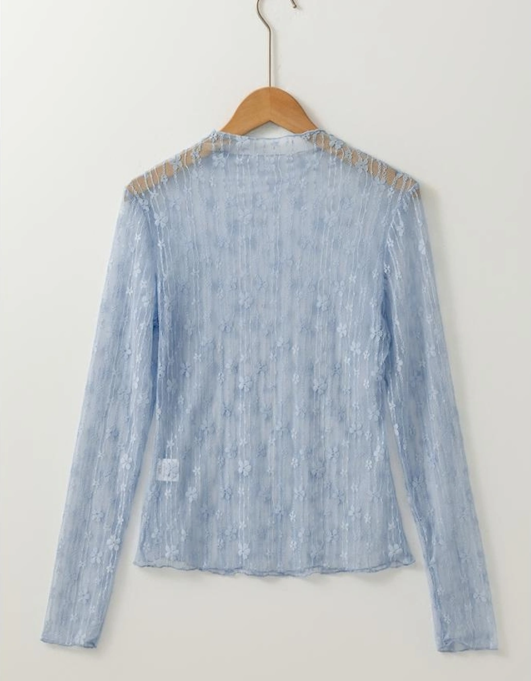 Ashleigh Blue Sheer Floral Lace Long Sleeve Slim Fit Top