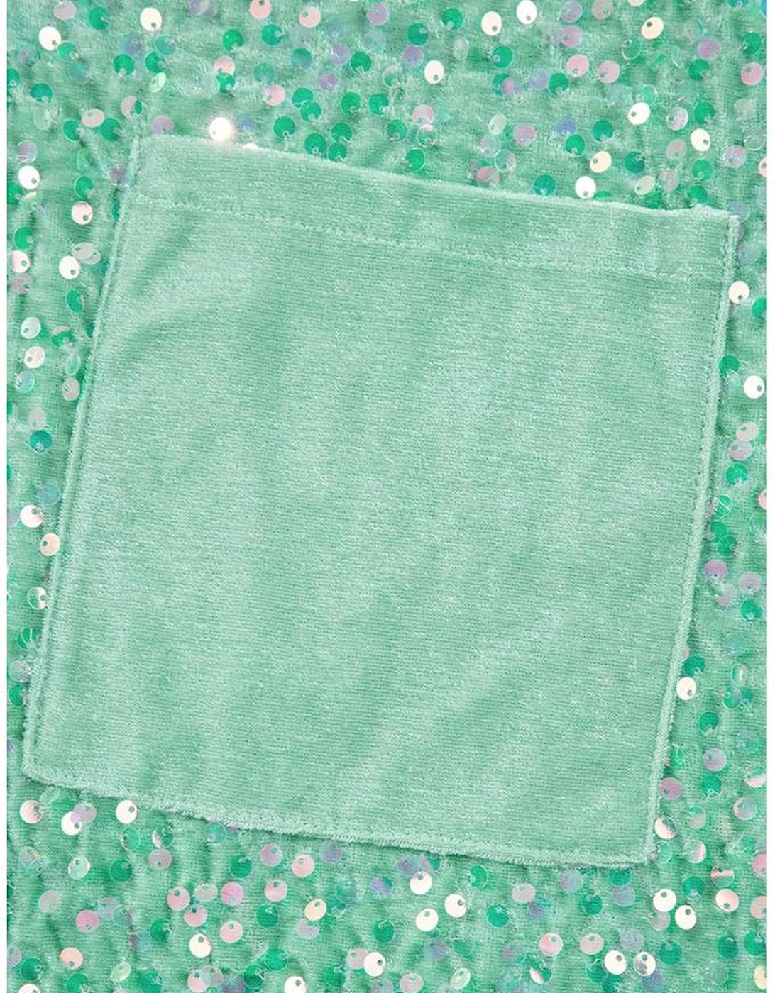 Moonlight Jade Sequin Batwing Sleeve V Neck Velvet Blouse