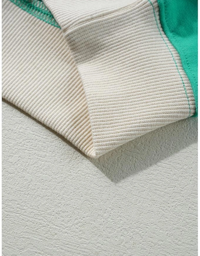 Sky Blue Plus Size Plaid Floral Patchwork Raglan Sleeve Sweatshirt