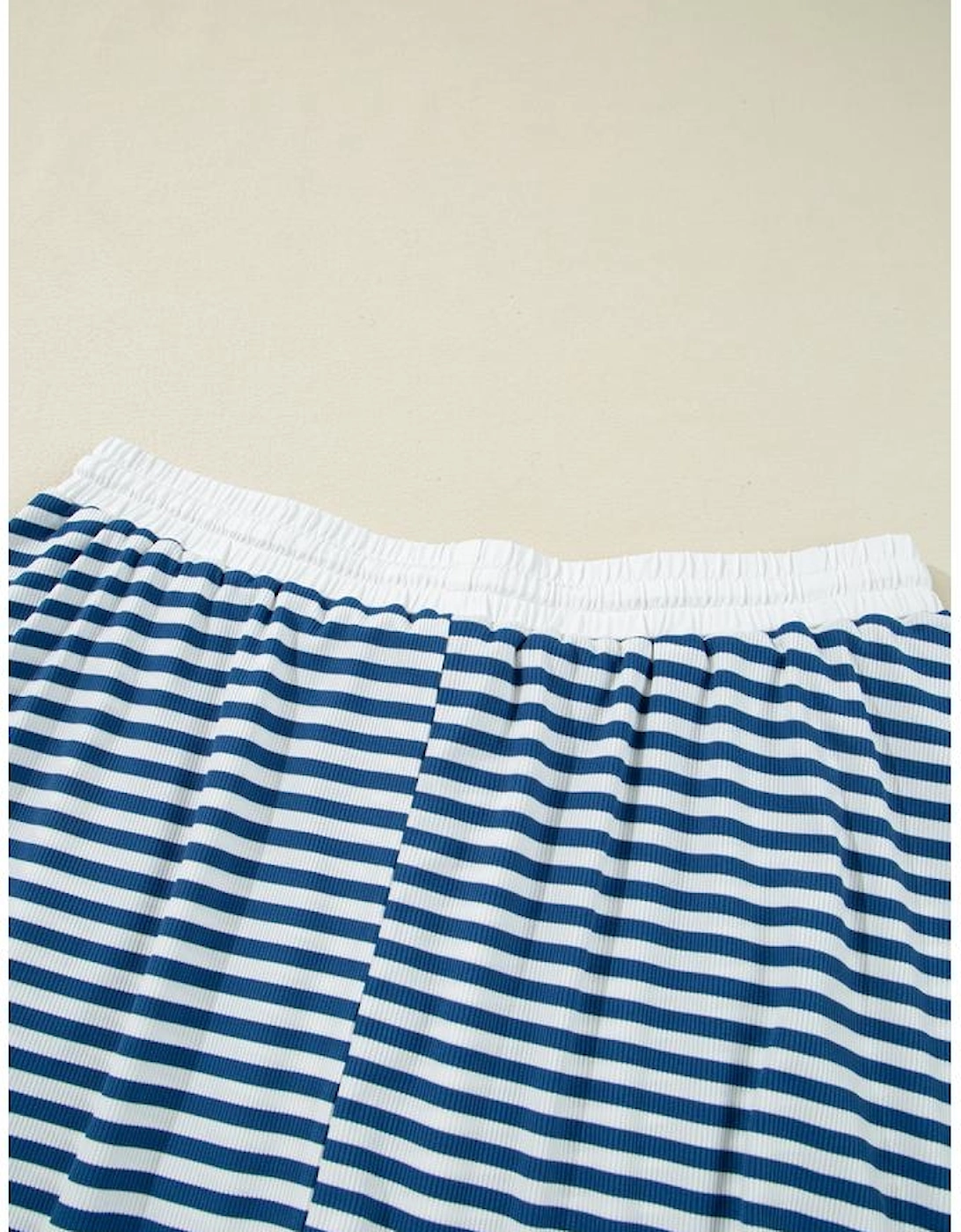 Blue Stripe Short Sleeve Collared V Neck Top Plus Size Skort Set