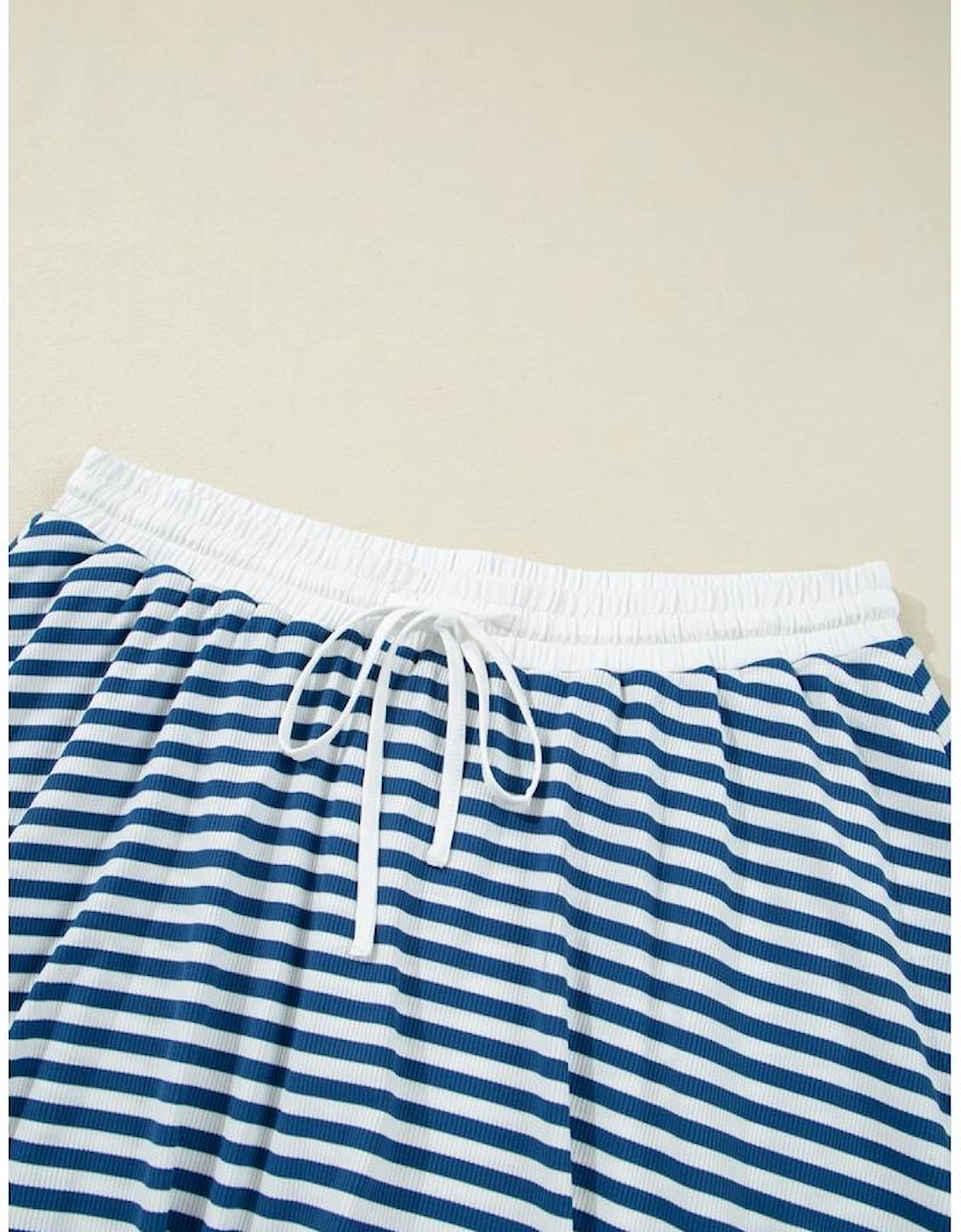 Blue Stripe Short Sleeve Collared V Neck Top Plus Size Skort Set