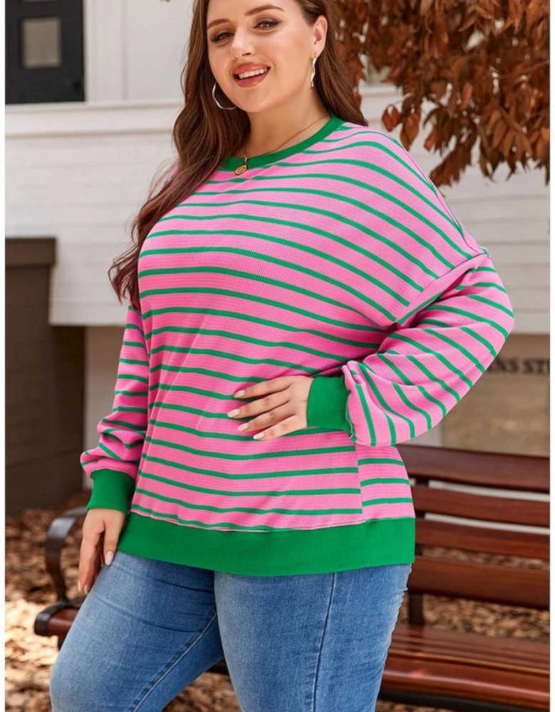 Pink Stripe Waffle Knit Crew Neck Plus Size Sweatshirt