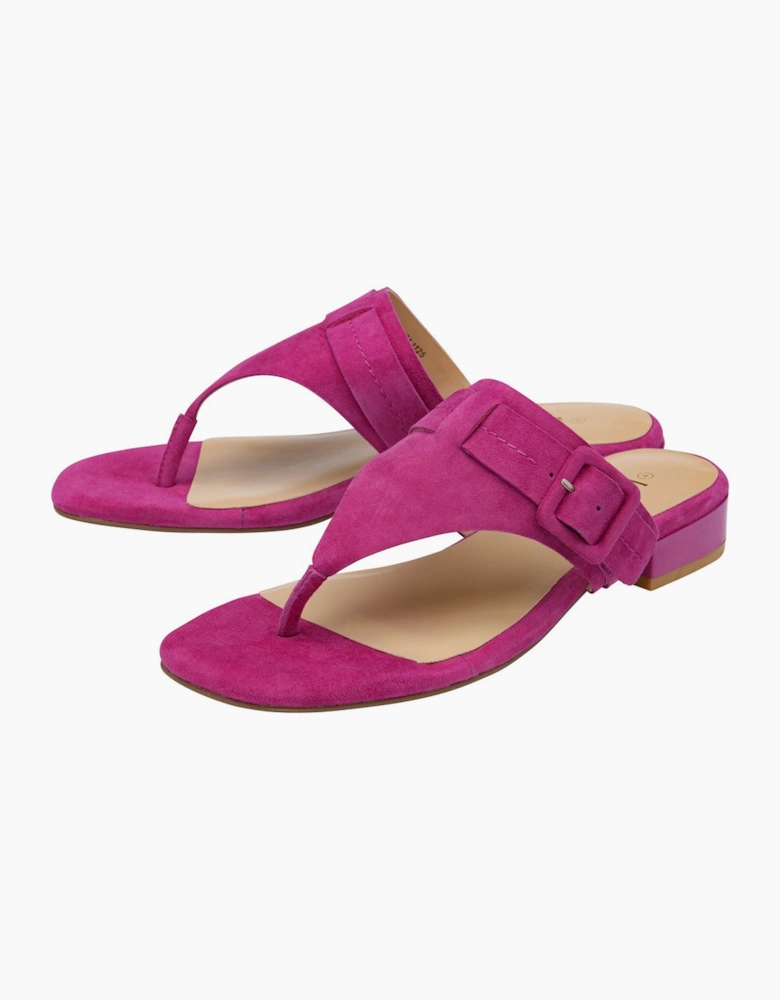 Vittoria Womens Toe Post Sandals
