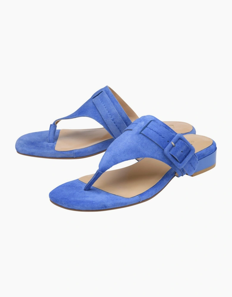 Vittoria Womens Toe Post Sandals