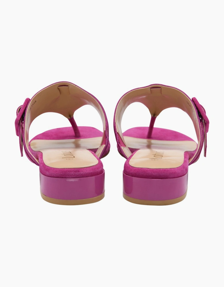 Vittoria Womens Toe Post Sandals