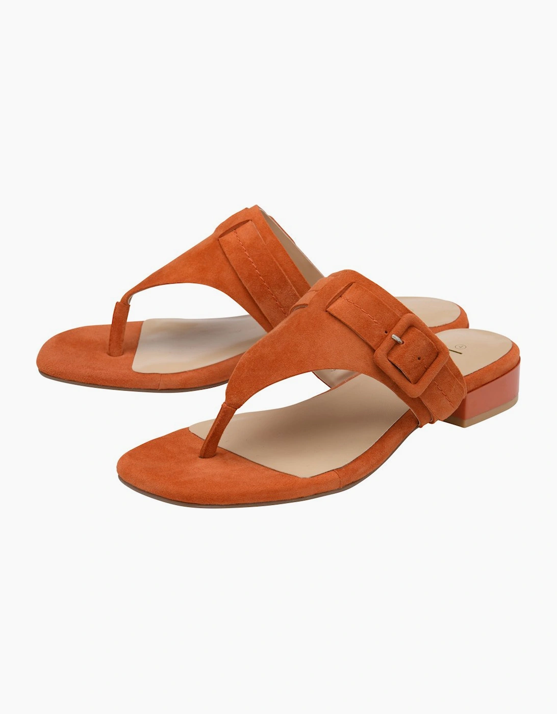 Vittoria Womens Toe Post Sandals