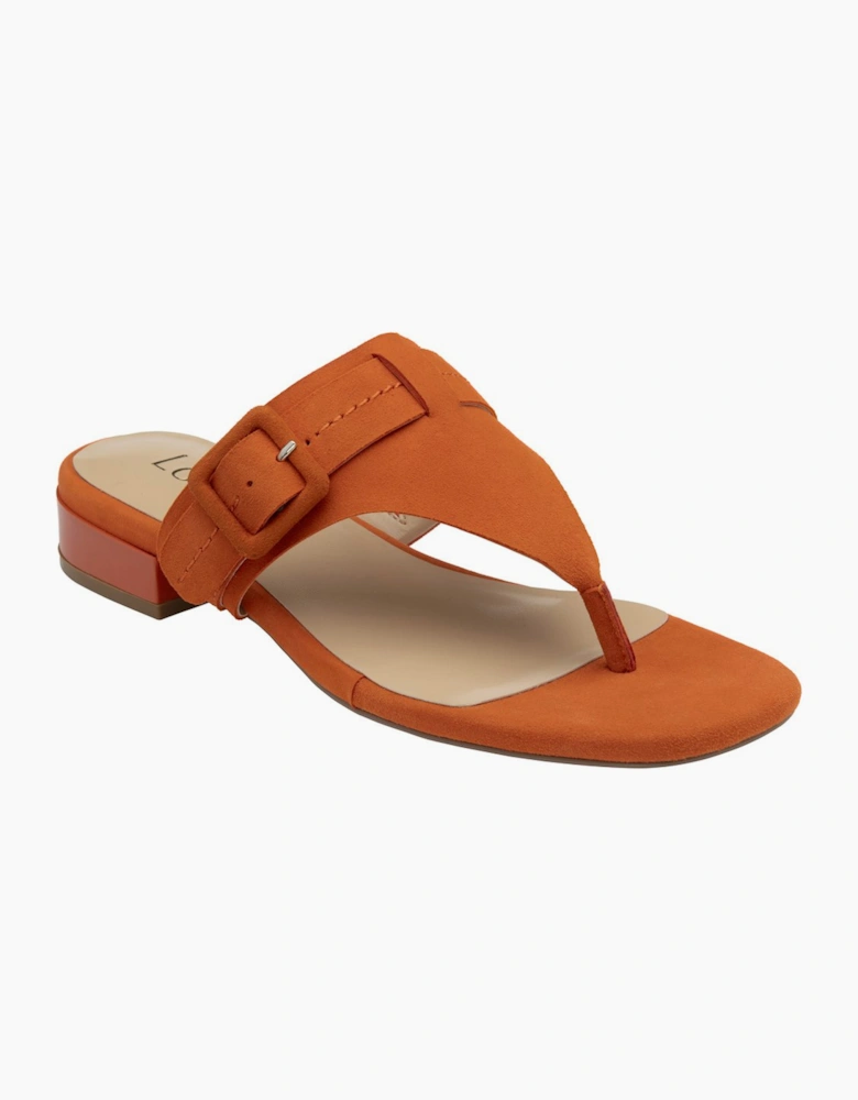 Vittoria Womens Toe Post Sandals