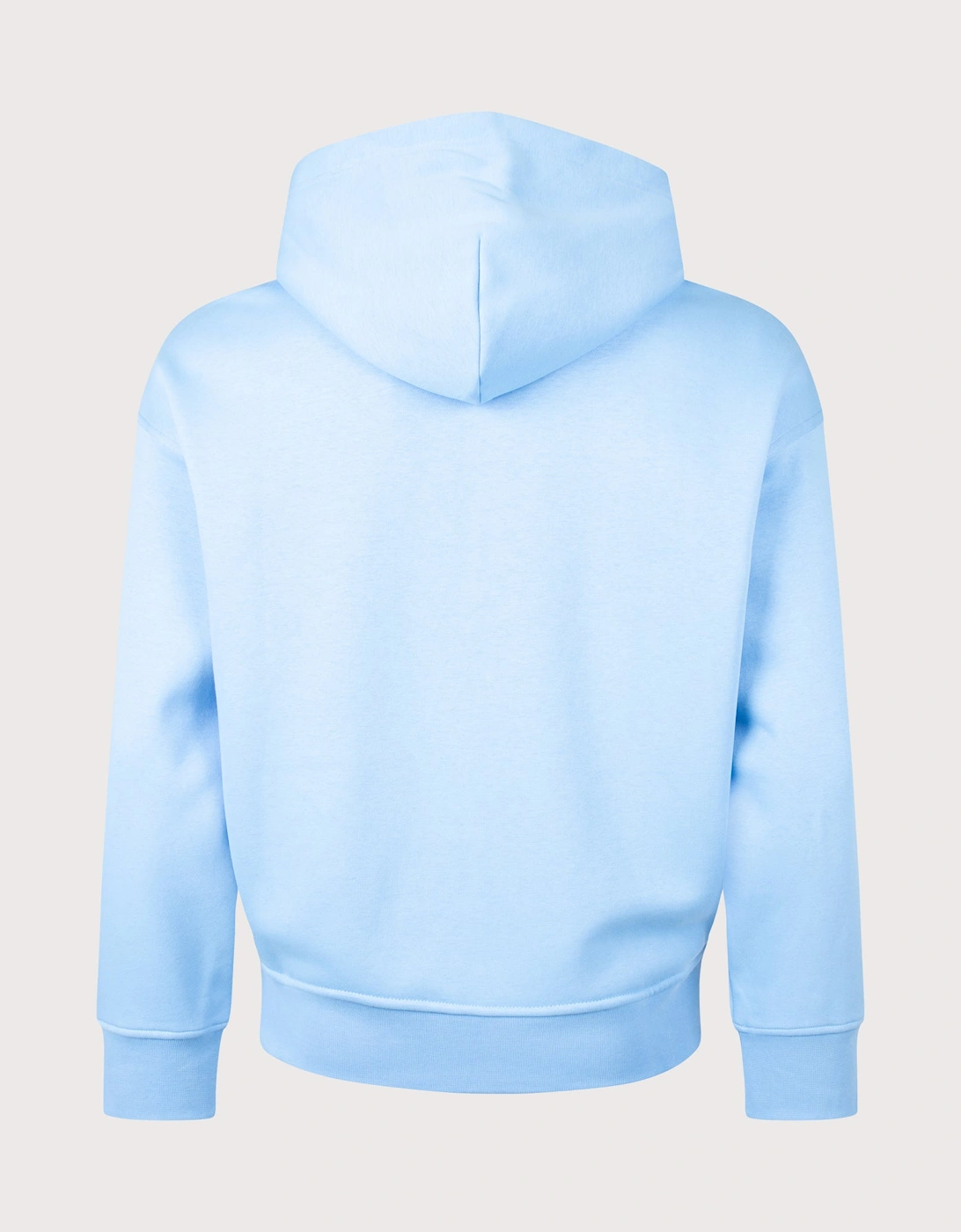 Relaxed Fit Polo Sport Flag Logo Hoodie