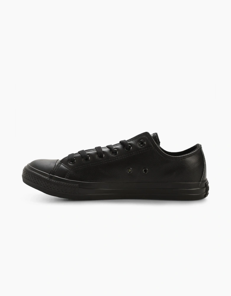 Newick Canvas Low Trainers