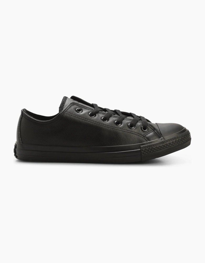 Newick Canvas Low Trainers