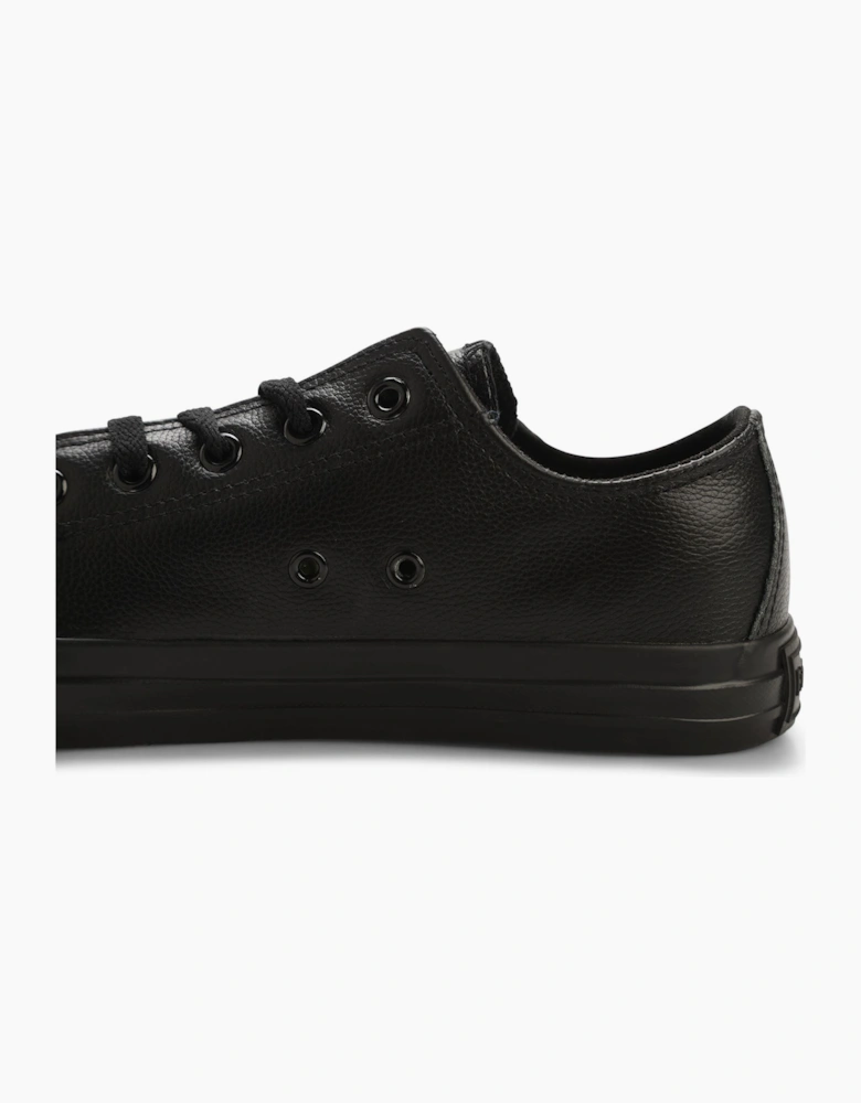 Newick Canvas Low Trainers