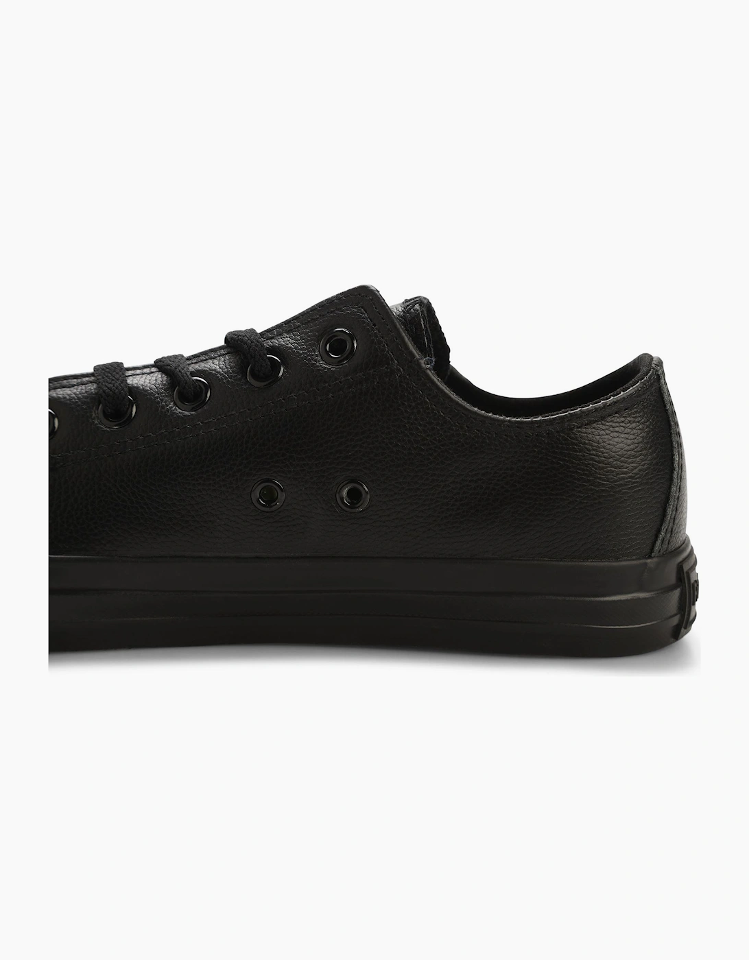 Newick Canvas Low Trainers
